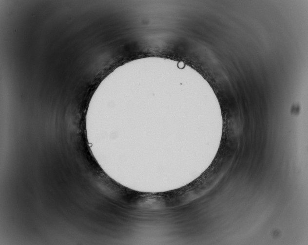 X0000103930750200810311517