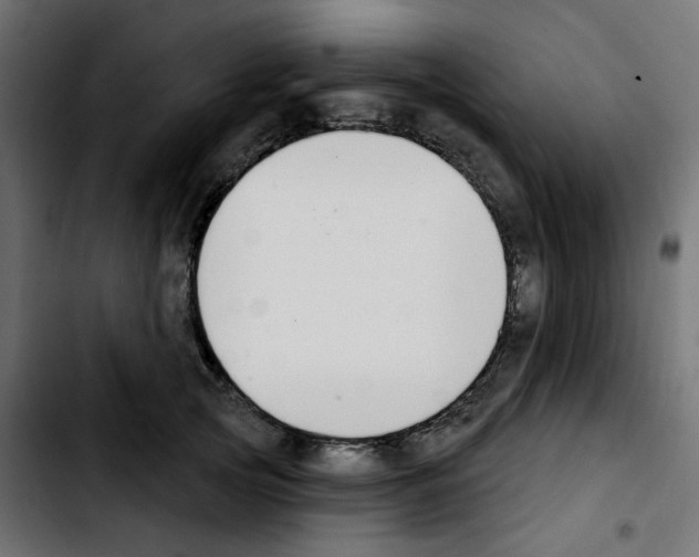 X0000103930753200810311517