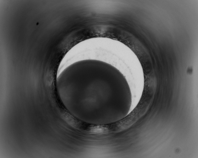 X0000103930754200810311517