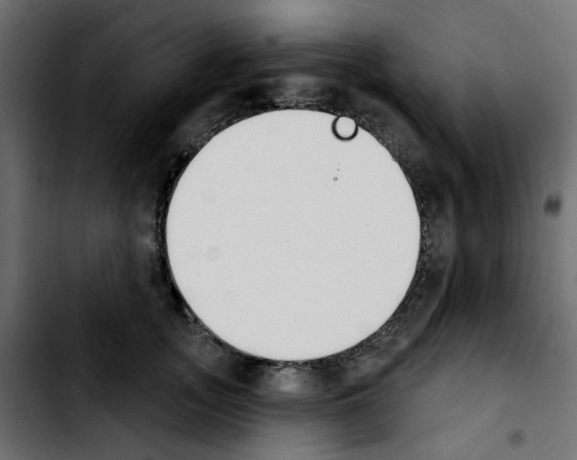 X0000103930755200810311517