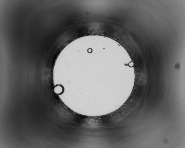 X0000103930756200810311517