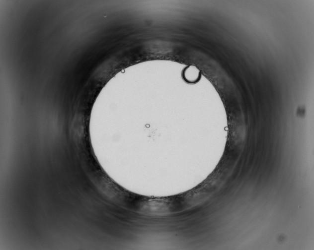 X0000103930758200810311517