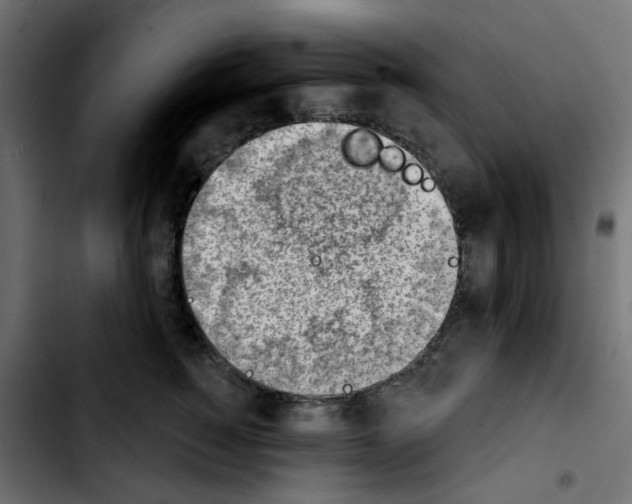 X0000103930760200810311517