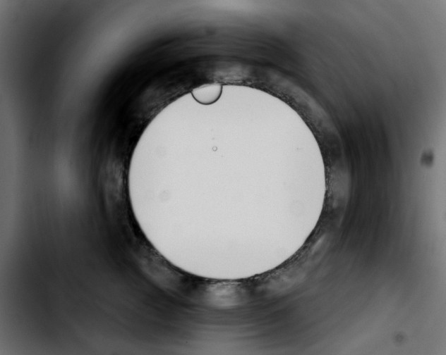 X0000103930761200810311517