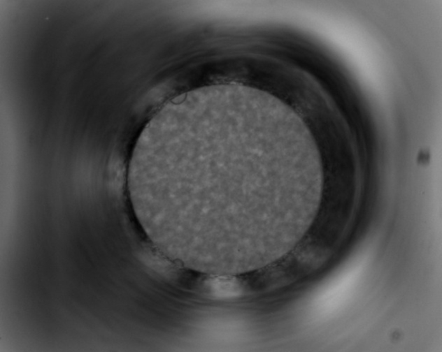 X0000103930767200810311517