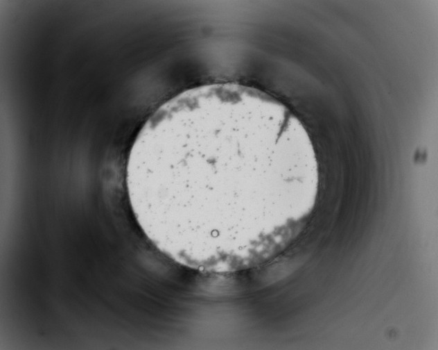X0000103930768200810311517