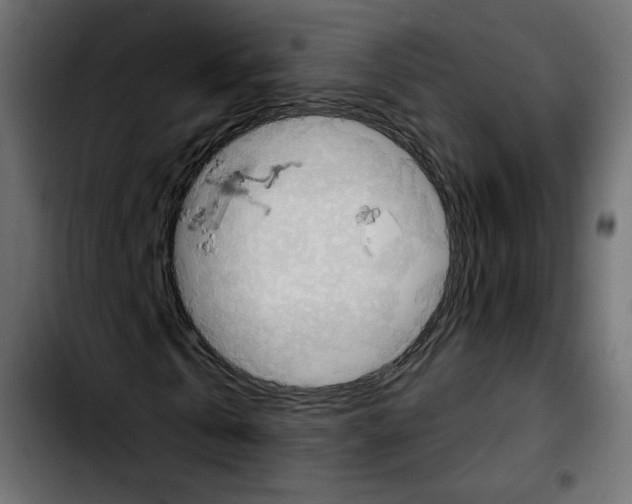 X0000103930769200810311516