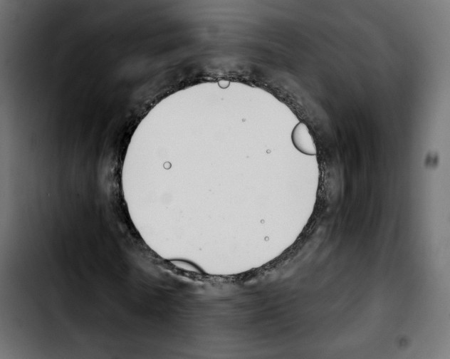 X0000103930770200810311516