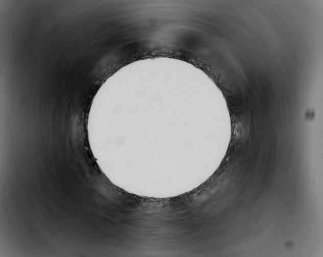 X0000103930771200810311516