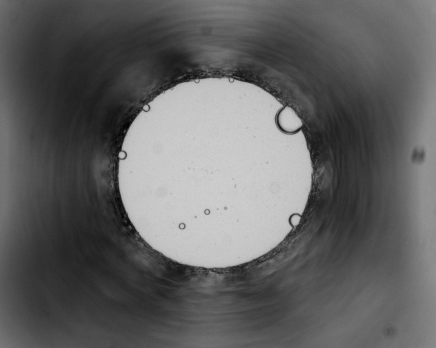 X0000103930772200810311516