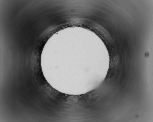 X0000103930773200810311516