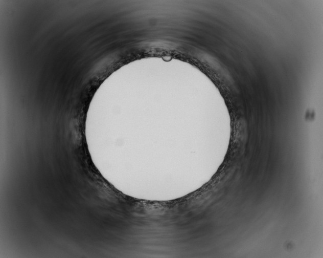 X0000103930774200810311516