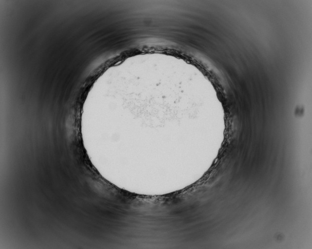 X0000103930775200810311516