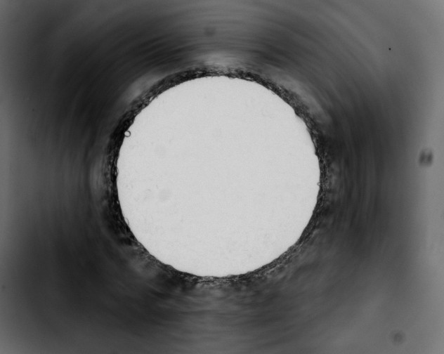 X0000103930776200810311516