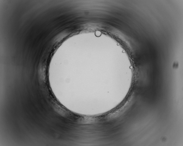 X0000103930777200810311516