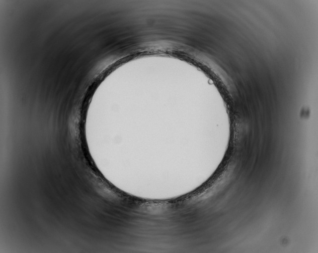 X0000103930778200810311516