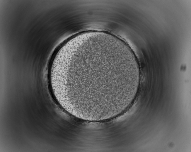 X0000103930779200810311516
