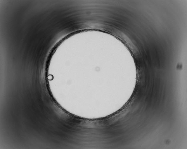 X0000103930780200810311516