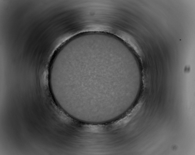 X0000103930781200810311516