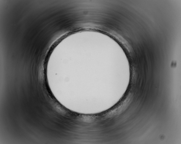 X0000103930782200810311516