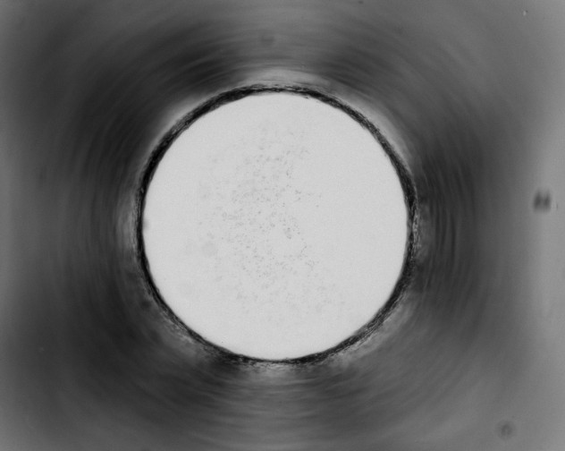 X0000103930783200810311516