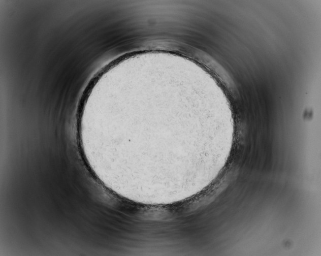X0000103930784200810311516