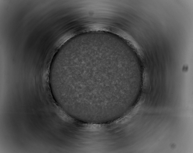 X0000103930785200810311516