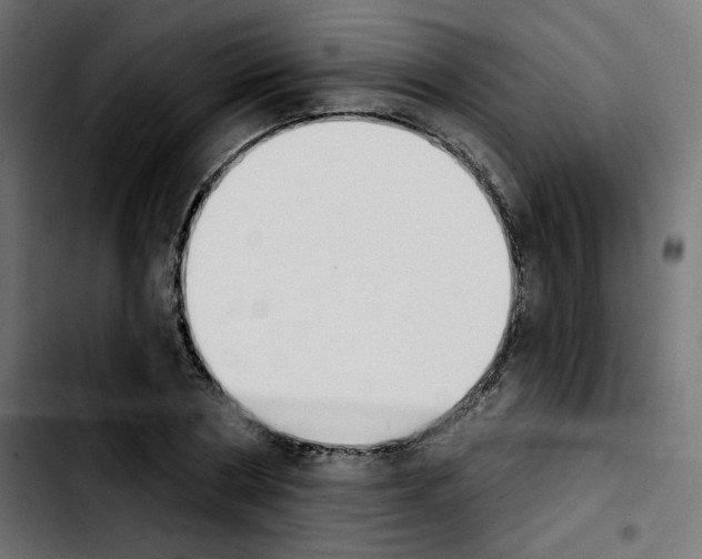 X0000103930786200810311516