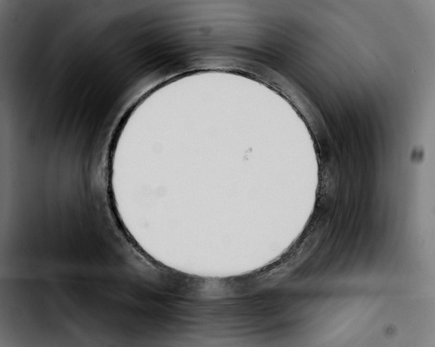 X0000103930787200810311516
