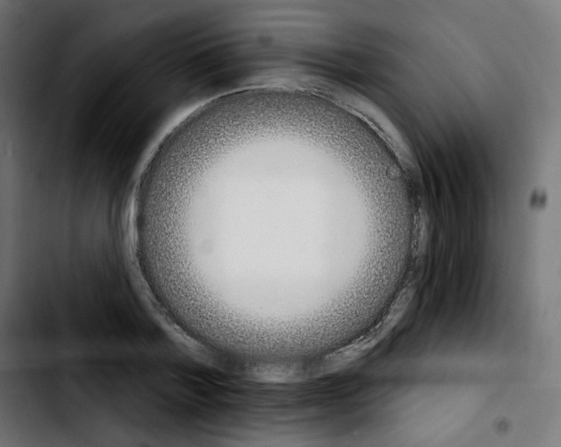 X0000103930788200810311516