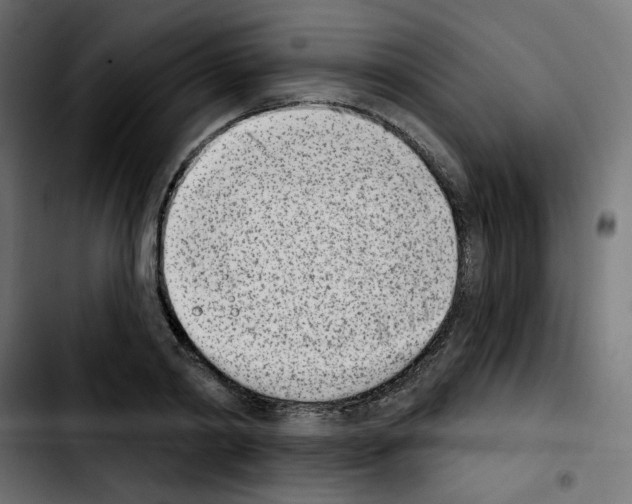 X0000103930790200810311516