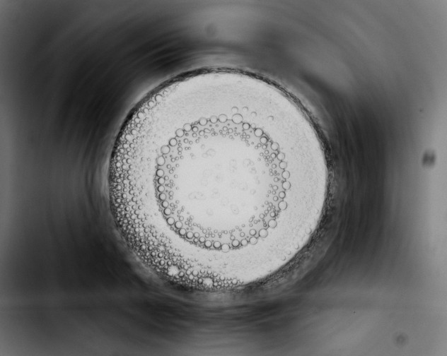 X0000103930791200810311516