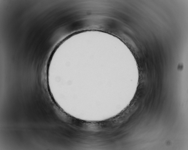 X0000103930792200810311516