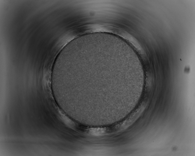 X0000103930793200810311516