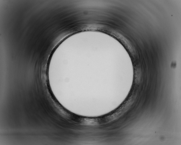 X0000103930794200810311516