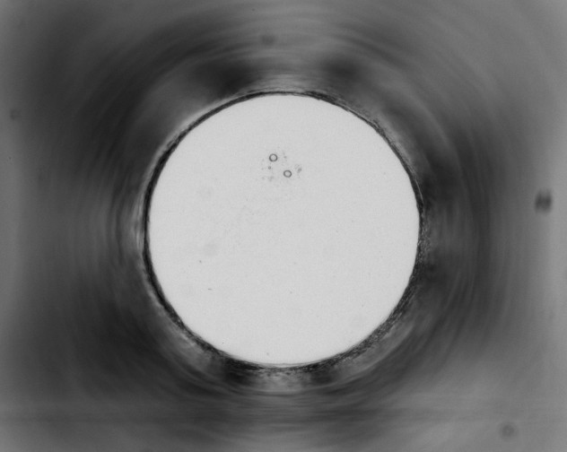 X0000103930795200810311516