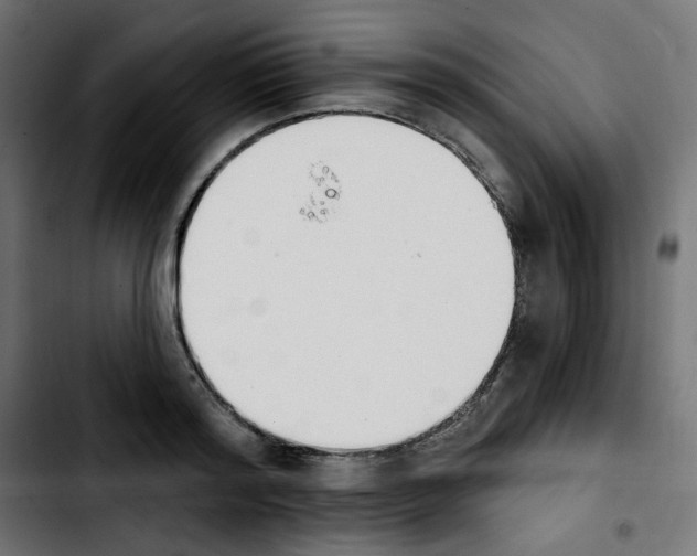 X0000103930796200810311516