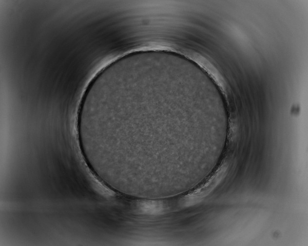 X0000103930797200810311516