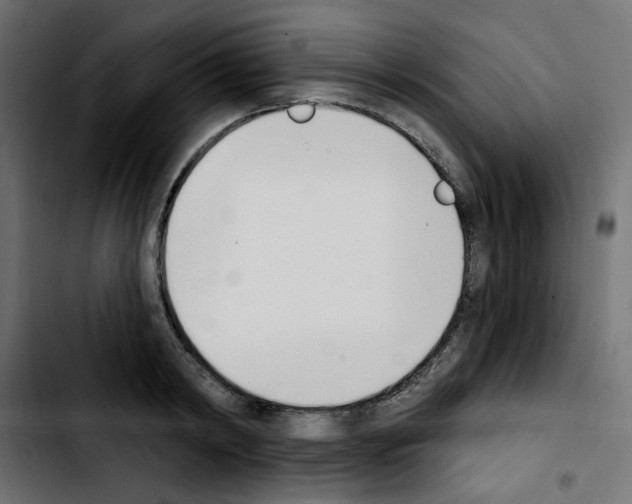 X0000103930798200810311516