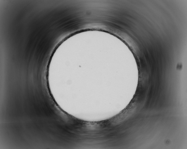X0000103930799200810311516