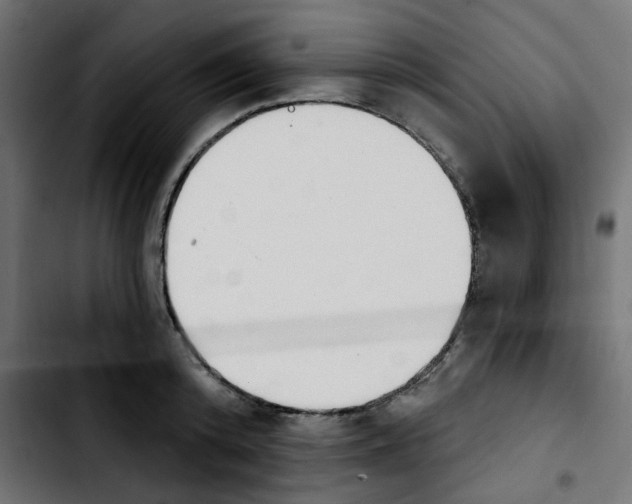 X0000103930800200810311516