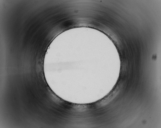 X0000103930801200810311516