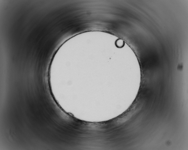X0000103930803200810311516