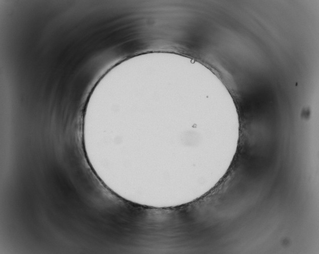 X0000103930804200810311516