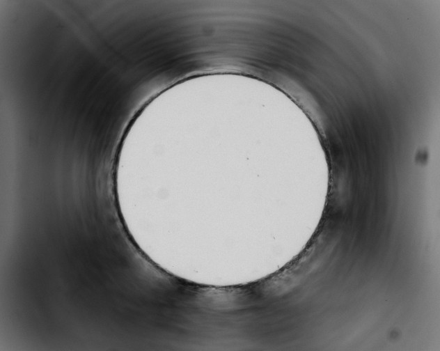 X0000103930805200810311516