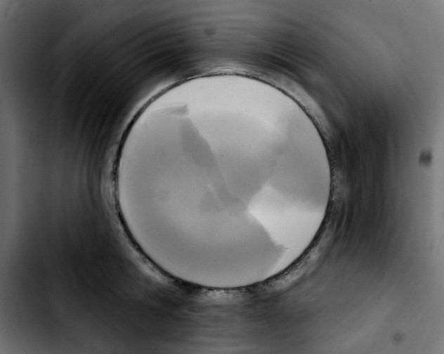 X0000103930806200810311516