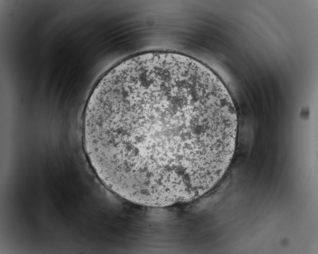 X0000103930807200810311516