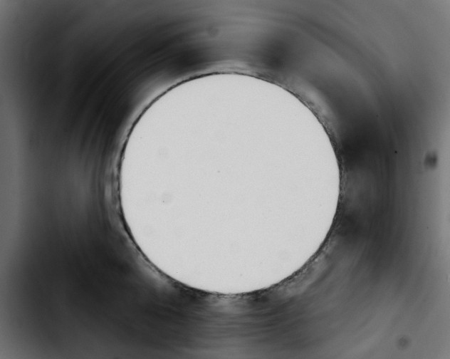 X0000103930808200810311516