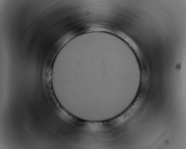 X0000103930809200810311516