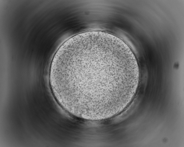 X0000103930810200810311516